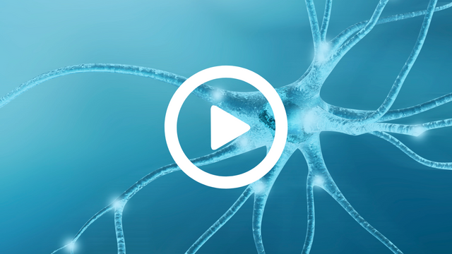 Neurogenese