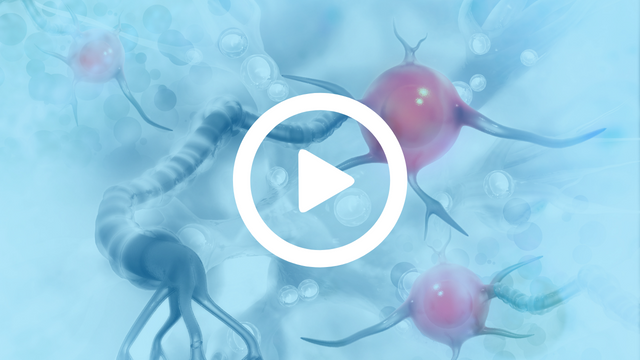 Neurohormone