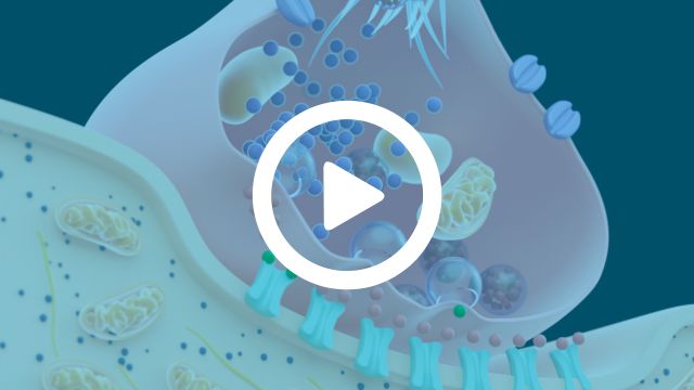 Neurotransmitter