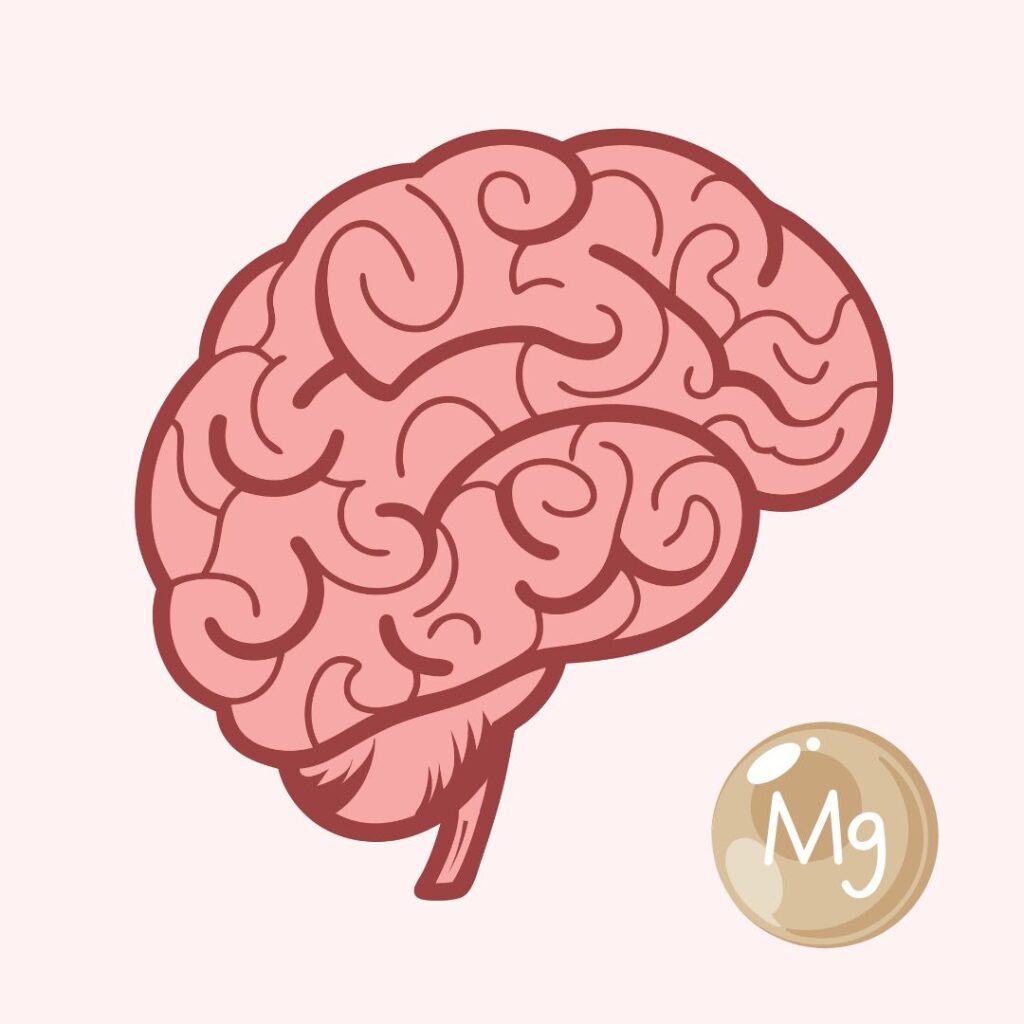 Darstellung neuer Magnesiumformen, die gezielt die Gehirnfunktion und kognitive Leistungsfähigkeit unterstützen.