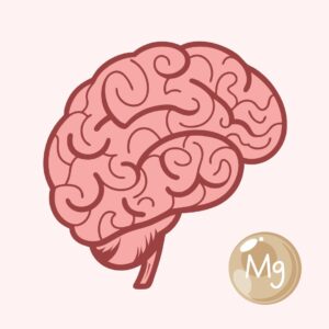 Darstellung neuer Magnesiumformen, die gezielt die Gehirnfunktion und kognitive Leistungsfähigkeit unterstützen.