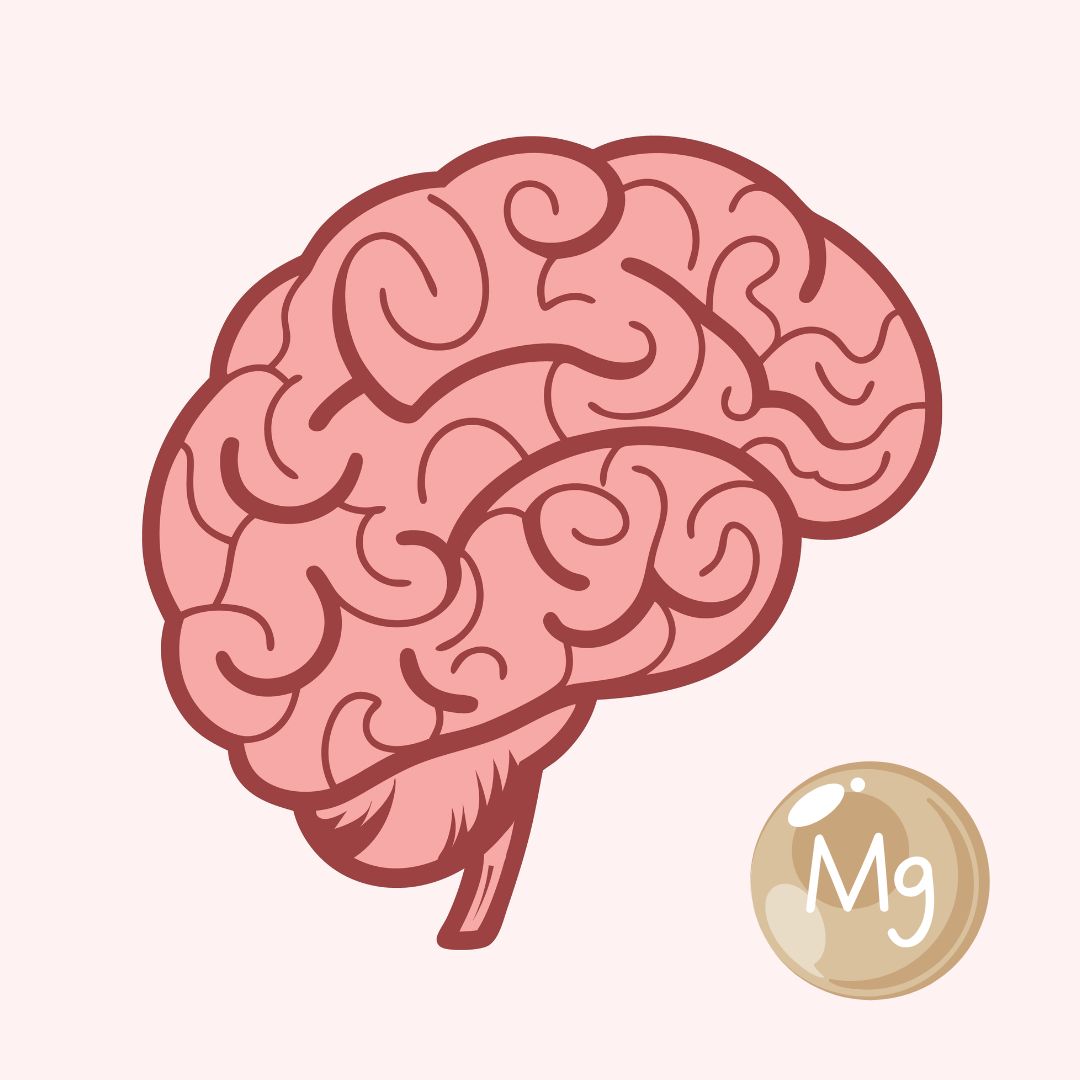 Darstellung neuer Magnesiumformen, die gezielt die Gehirnfunktion und kognitive Leistungsfähigkeit unterstützen.
