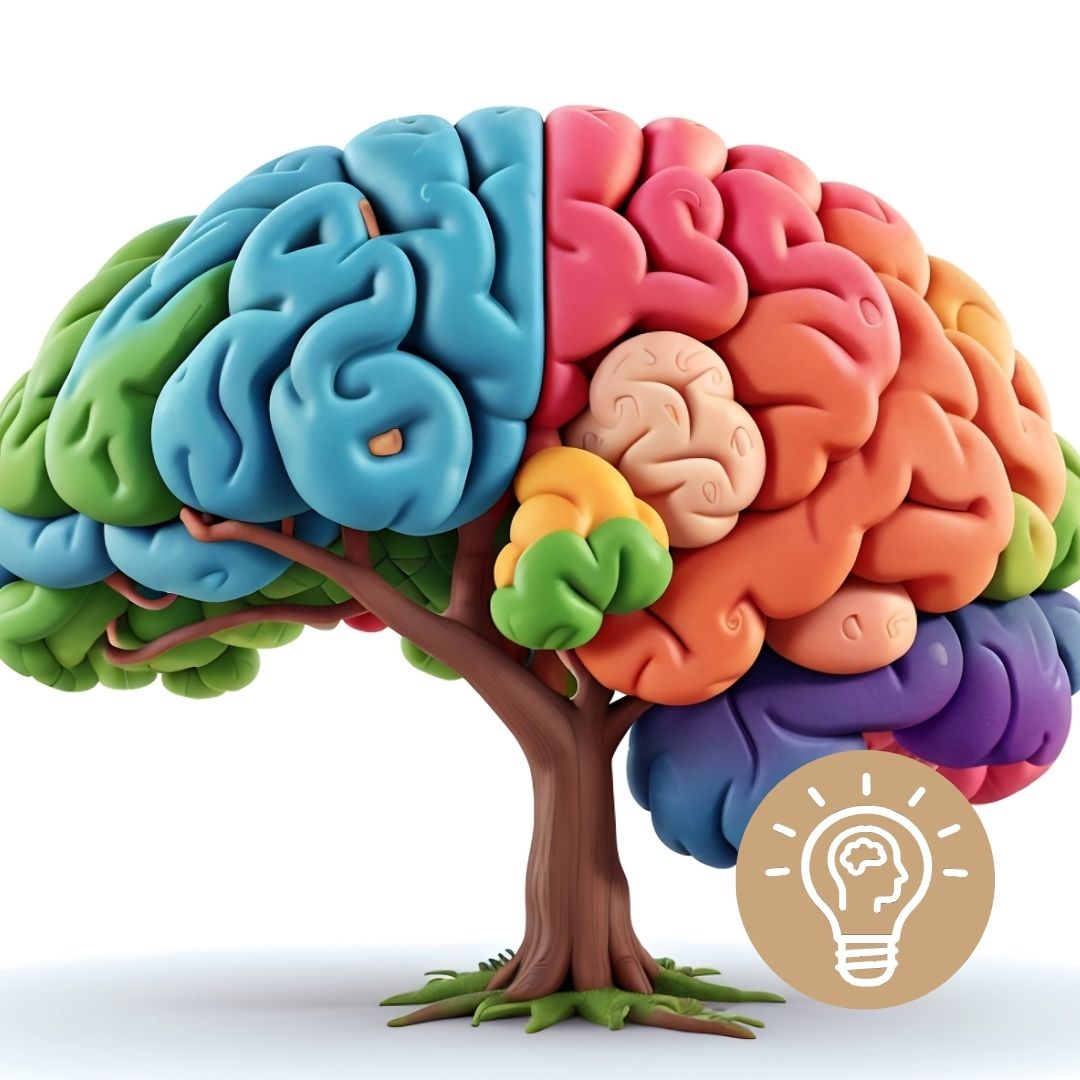 Glymphatische Reinigung: Detox für ein gesundes Gehirn