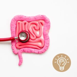 Darm-Vargus-Gehirn Verbindung. Darm in Knetmasse und Stetoskop