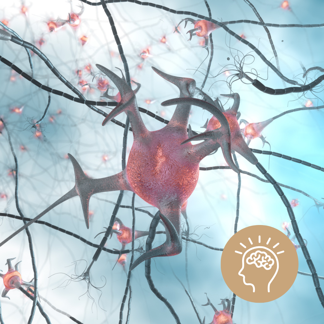Beitragsbild für Blogartikel: Zeigt Detailaufnahme Neuronales Netzwerk